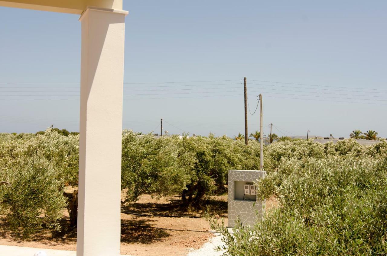 Giorgos Villa Palékasztro Kültér fotó